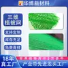 Refuerzo de Protección de Taludes Red de Vegetación Tridimensional EM3 Refuerzo para Siembra de Césped Geored de Compuesto HDPE Red Verde Protección de Taludes