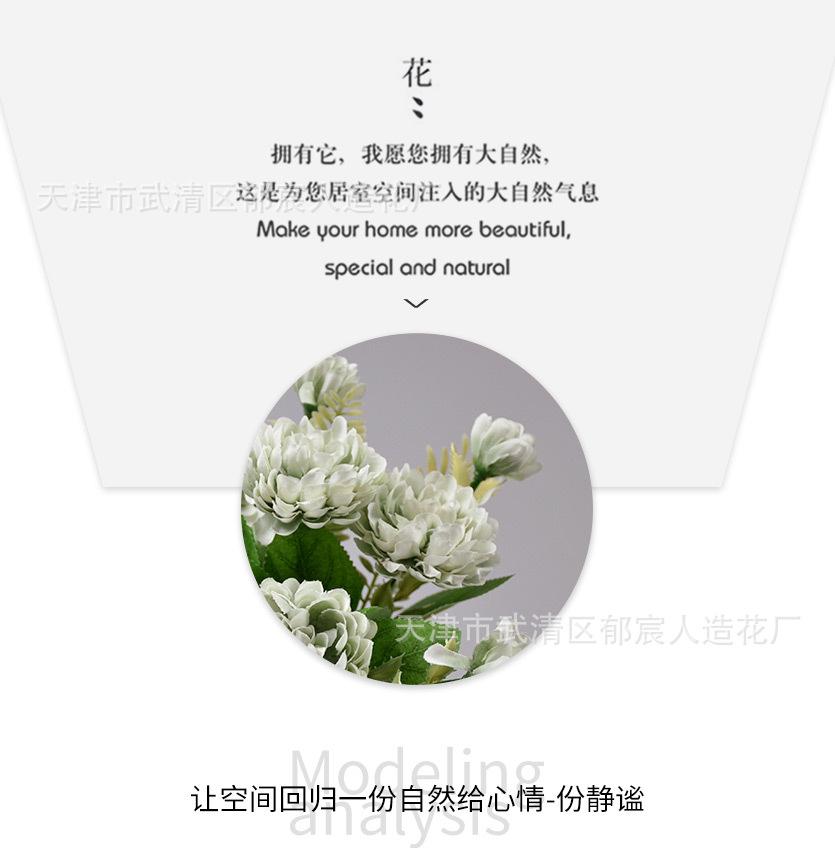 详情_05.jpg