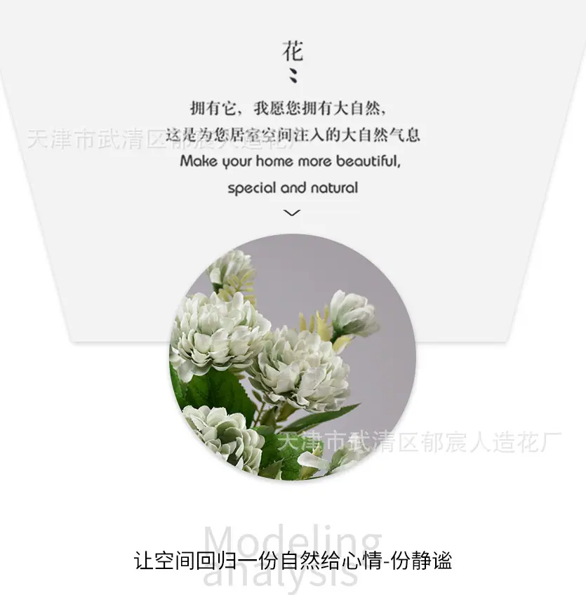详情_05.jpg