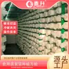 Estantería para Cultivo de Hongos, Estantería de Malla para Cultivo, Estantería de Rejilla Verde, Estantería a Medida para Sala de Cultivo de Hongos, Estantería para Cultivo de Hongos Comestibles