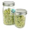 Venta al por mayor de fábrica tapa germinadora de acero inoxidable 304 tapa coladora tapa para botella de germinación de semillas de brotes de frijol tapa germinadora dividida