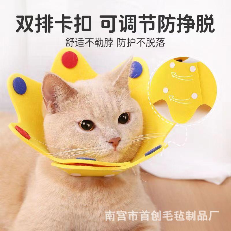 微信图片_20230725101813