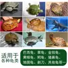 Alimento para tortuga de oro pulgada Hierba alimenticia para tortuga de oro pulgada Alimento para tortuga de tierra Alimento general para tortuga brasileña Alimento para tortuga suplemento de calcio camarones secos alimento para tortuga