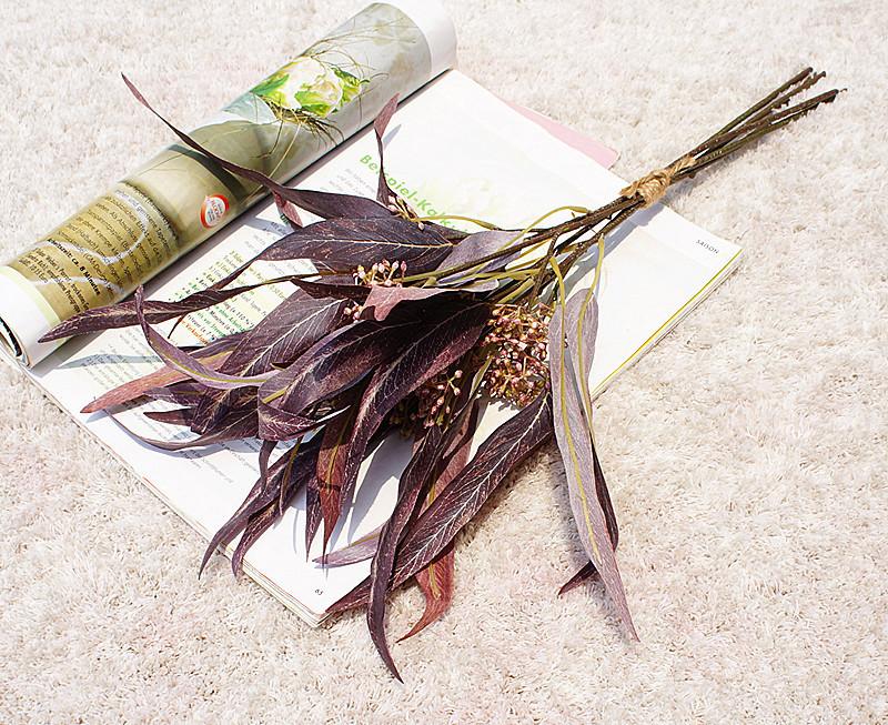 带果弯叶尤加利