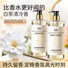 Champú Flor de Camelia, Anticaspa, Control de Grasa, Fórmula Suavizante y Sedosa con Aminoácidos, Set de Cuidado, Venta al por Mayor del Fabricante