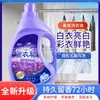 Fábrica de detergente para roupas lavanda atacado fragrância de detergente para roupas fragrância duradoura barraca de inauguração casa de bem-estar