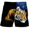 AliExpress nuevos pantalones cortos con estampado digital 3D de tigre feroz para niños, pantalones casuales deportivos de playa