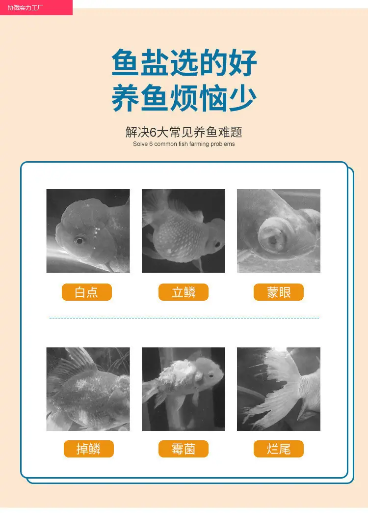 8eb50efb-5470-4a79-9e7f-56eb8eeb3f45.jpe