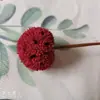 Cailuotong Passepartout Flores Secas Flores de Fruta Seca Literario Pequeño Fresco Arreglo Floral Hecho a Mano Decoración para Sala de Estar Dormitorio Pantalla