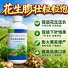 Grânulos de Inchaço de Amendoim Grânulos Grânulos de Inchaço Total Tesouro Fertilizante Não Composto Fertilizante Foliar Solúvel em Água