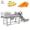Máquina de Cortar Milho Fengxiang Máquina de Cortar Rabanete Grande Comercial Máquina de Cortar Raiz e Caule de Pepino para Material Medicinal