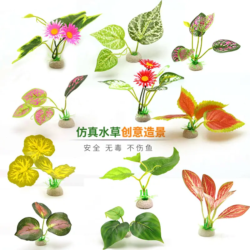 新水草主图设计2