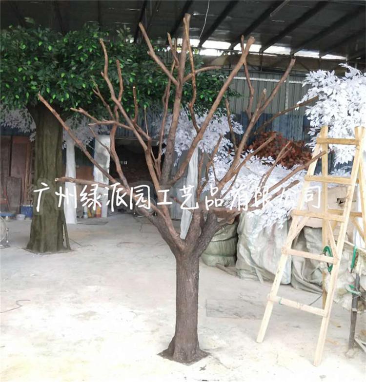 枯树805.jpg