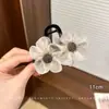 [Liquidação de Acessórios de Cabelo de 1-2 Yuan] Elásticos de Cabelo, Grampos de Cabelo, Argolas de Cabelo Femininas, Cordas de Cabelo, Tiaras de Cabelo, Presilhas Tubarão, Acessórios de Cabelo Infantis