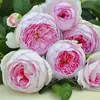 Envío Directo de Una Pieza Plántulas de Rosa Grande para Desfiles Trepadora para Balcón Rosa Trepadora de Cuatro Estaciones Planta Trepadora Rosa Planta de Rosa en Maceta