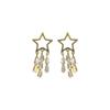 Brincos de Borla de Estrela para Mulheres Design de Nicho High-End 2024 Novos Brincos da Moda Brincos Elegantes Nicho Único