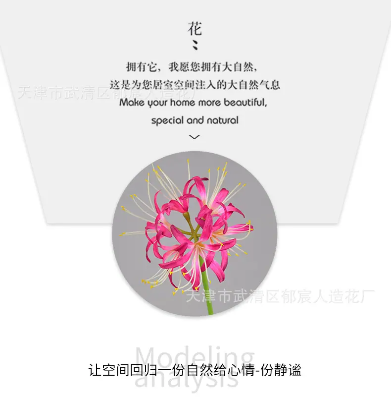 详情_07.png