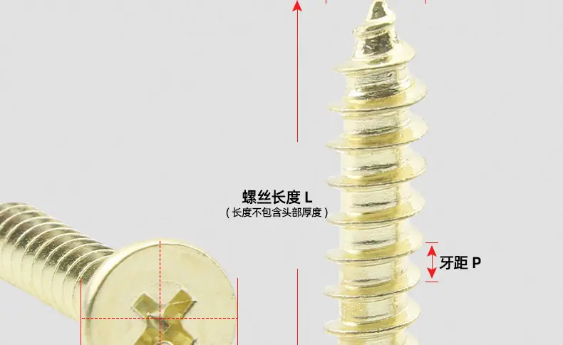 金色304不锈钢CA十字薄头自攻螺丝_03_13.jpg