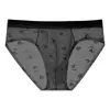 Encaje Jacquard Plátano 10A Antibacteriano Fragancia a Camelia Hidratante Seda de Hielo Transparente en la Entrepierna Ácido Hialurónico Triángulo Ropa Interior para Hombre