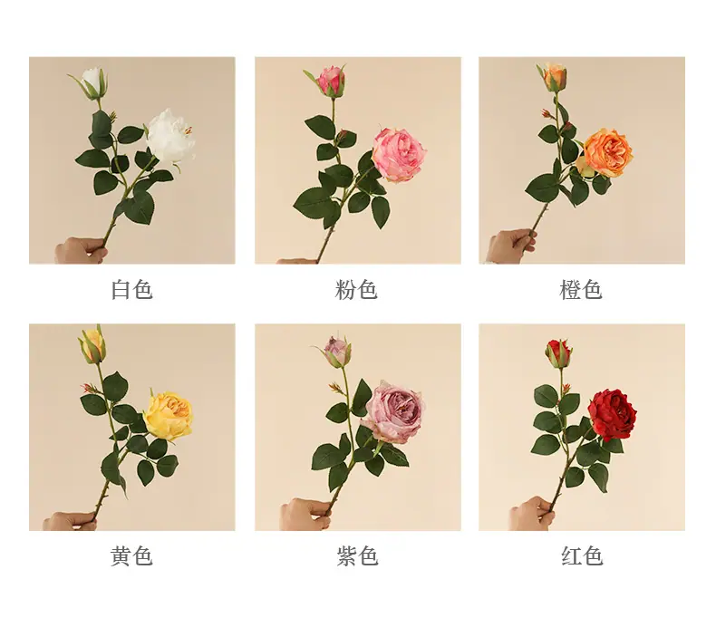 王国德拉秀玫瑰_04.jpg