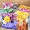 Kit de Materiais para Flor Seca DIY Flor Eterna, Flores Flutuantes Perfumadas, Materiais de Flor para Atividade Pai-Filho, Atacado Fabricante de Yunnan, Dia das Mães