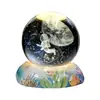 Lámpara de Escritorio Creativa Cielo Estrellado del Océano Bola de Cristal Luz Nocturna Bola de Cristal Lámpara de Ambiente Decoración de Escritorio Regalo de Cumpleaños para Niños