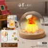 Luz de Noche de Gelatina de Concha de Erizo de Mar Natural Kit de Materiales Hechos a Mano para Bricolaje Adorno Decorativo Regalo para Niños y Novias