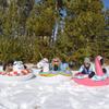 Anel de esqui inflável de PVC resistente ao frio, unicórnio, esportes ao ar livre, anel de esqui aquático, animal flamingo, anel de esqui