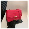 High-end Small Bag Mulheres 2024 Primavera Novo Elegante Grande Capacidade Corrente Ombro Crossbody Bag moda pequena bolsa quadrada
