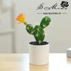 Maceta de Plástico con Flor Falsa, Suculenta Artificial Cactus Tropical Bonsái, Pequeños Adornos Creativos, Suministro Directo de Fábrica de Plantas Verdes