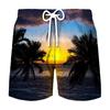 Pantalones de playa deportivos de ocio para hombre, venta al por mayor, impresión digital 3D, para vacaciones de verano en la playa, 2023