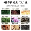 Aceite esencial para el cuero cabelludo sin enjuague anti-frizz con Polygonum multiflorum y jengibre, artículo de gran venta en stock, disponible para venta al por mayor y dropshipping directamente del fabricante