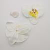 Cabeza de flor de Phalaenopsis de 10 cm de diámetro, decoración del hogar, flor de boda, planta de pared, flor falsa, flor seca para boda.