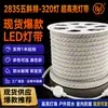 Tira de LED Impermeable de Alto Voltaje Decoración del Hogar Atmósfera del Techo Doble Párpado Impermeable Exterior Luz de Línea de Silicona 220V