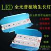 Luz LED inteligente IC de espectro completo para crecimiento de plantas 50W100W luz de relleno para balcón, flor, suculenta, pitaya