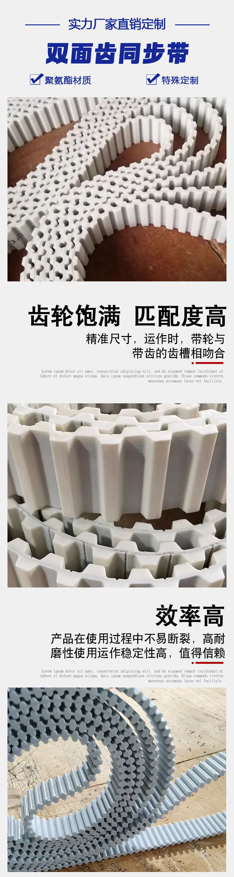 双面齿_04