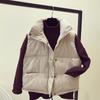 Chaleco de Algodón sin Mangas Estilo Coreano Nuevo Otoño/Invierno 2026 para Mujer, Chaleco Chaqueta Acolchado Corto Holgado Grueso al por Mayor