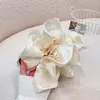 Presilha de Cabelo Bolha de Nuvem Perolada para Mulheres, Presilha Tubarão Volumizadora para a Parte de Trás da Cabeça Cheia, Acessório de Cabelo