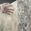 Encaje de gloria de la mañana de albaricoque francés bordado de malla degradado translúcido vestido de noche bordado falda de vestido de boda tela para ropa