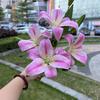 Nuevos fabricantes de flores artificiales 3D 6 cabezas tacto grande Lirio Verde Lirio Perfumado boda flores falsas suaves al por mayor