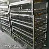 Rack à Prova de Umidade para Macarrão de Arroz de Aço Inoxidável Prateleira Comercial Rack de Armazenamento Prateleira de Farinha de Camada Única Suporte de Chão Prateleira de Chão para Cantina