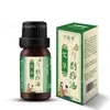 Tubo Raspador de Chifre Natural Placa Raspadora Salão de Beleza Bastão de Massagem Pontos de Meridianos Faciais Costas Corpo Inteiro Universal Grande