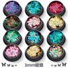 Amazon explosiones set de colores mixtos 3 mm mariposa polvo de cebolla dorada esmalte de uñas pegamento diy maquillaje corporal al por mayor