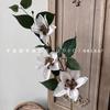 3 Rattan Clematis Natural de alta qualidade Decoração de Casa Falso Espaço de Flores Bela Decoração Macia Paisagem Flor Arte
