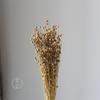 Flor seca frijol rico frijol enamorado flor eterna fábrica mayoreo rojo dorado frijol rojo lino frijol carambola ramo