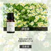 Fabricante de Fuente de Aromaterapia Aceite Esencial de Aromaterapia Soluble en Agua 10 ml Fragancia Vegetal L Difusor Ambientador Máquina de Aromaterapia Aceite Esencial