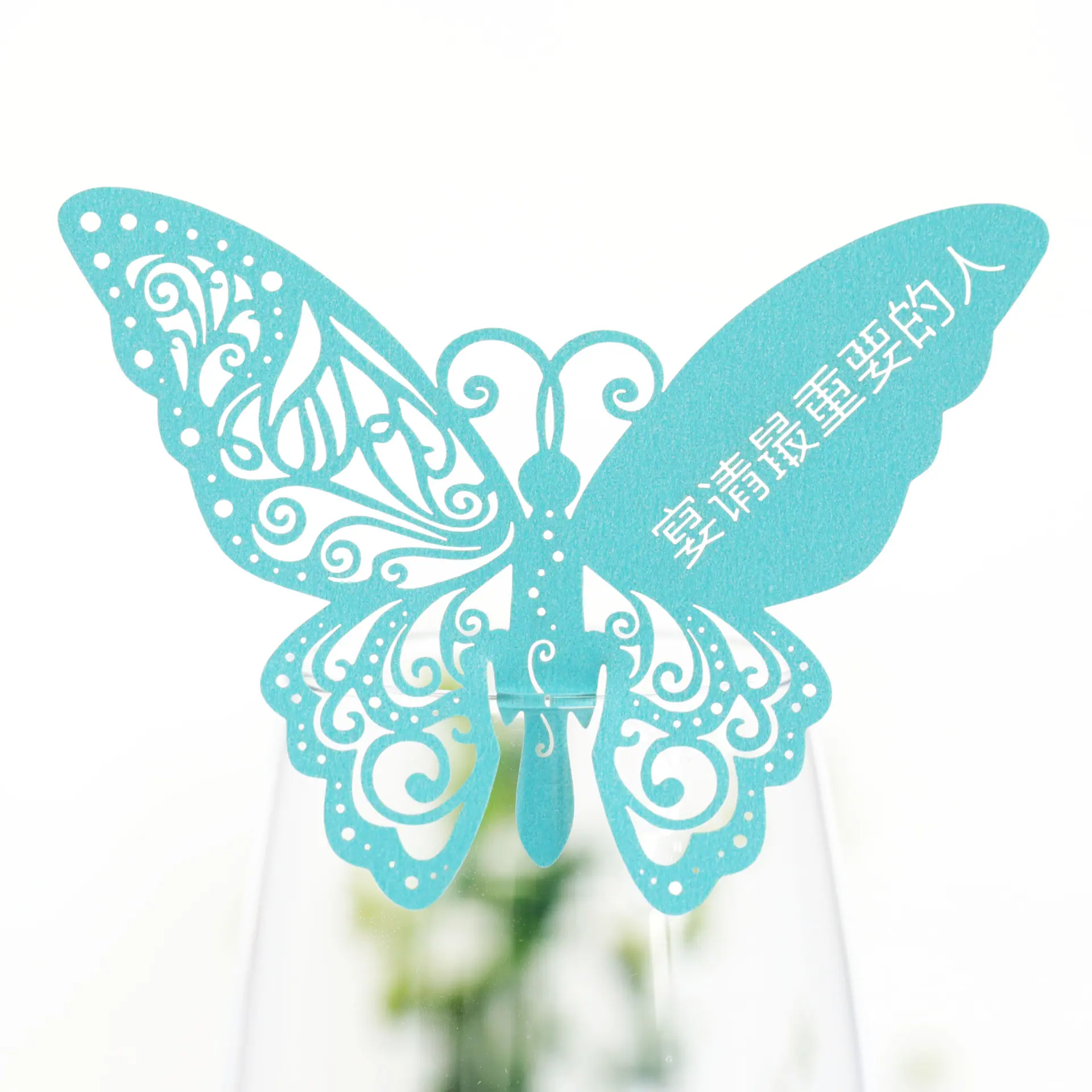 9R3A2915 蒂夫尼兰