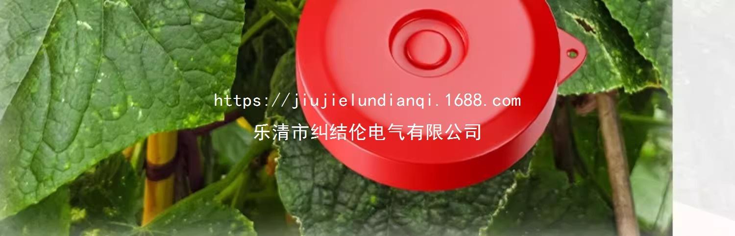 02.jpg