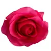 Rosa Redonda Multicor Tecido de Seda Cabeça de Rosa Decoração de Salão de Banquetes de Hotel Flores Artificiais Materiais de Flores Simuladas Decoração de Salão de Banquetes de Hotel