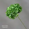 Flor de Simulación Verde Decoración Auditorio de Bodas Material de Flores para Bodas Flor Exterior Planta Verde Belleza Chen Arreglo Sanwei Kwai Mori Ceremonial de Bodas